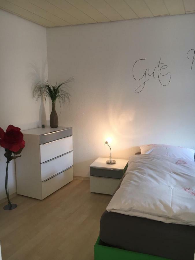 Gemuetliches Appartement Naehe Zentrum Mit Kueche Haßfurt Esterno foto